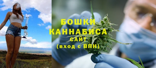 apvp Осташков