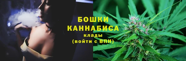 apvp Осташков
