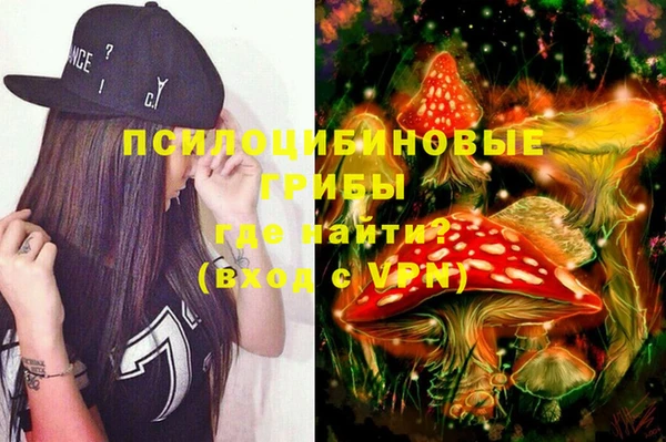 apvp Осташков