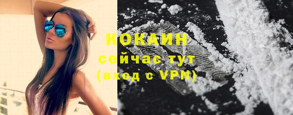 бошки Осинники
