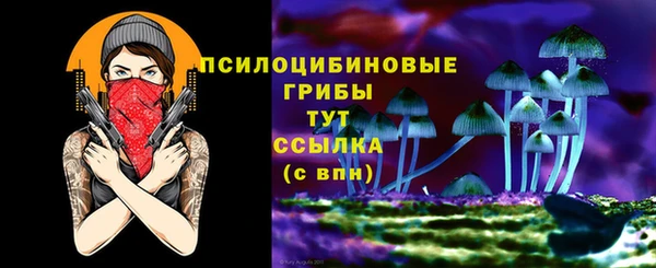бошки Осинники