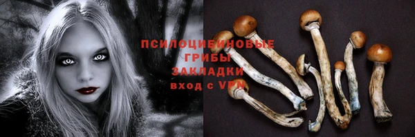 apvp Осташков
