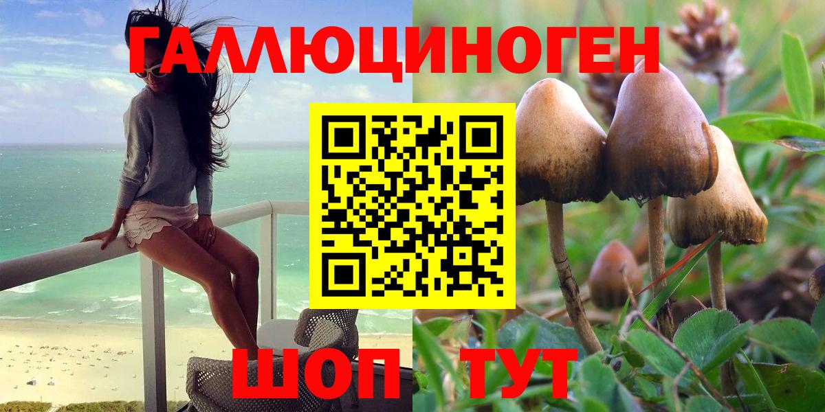 Галлюциногенные грибы Psilocybe  Вход с VPN  Боровичи  Галлюциногенные грибы ЛСД 