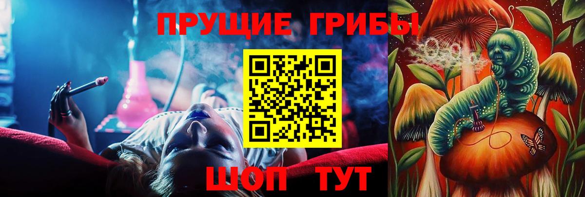 Галлюциногенные грибы Psilocybine cubensis  Галлюциногенные грибы MAGIC MUSHROOMS  Боровичи 